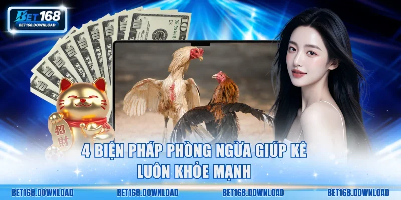 4 biện pháp phòng ngừa giúp kê luôn khỏe mạnh