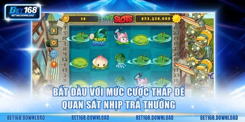 Bắt đầu bằng mức cược thấp để theo dõi nhịp trả thưởng