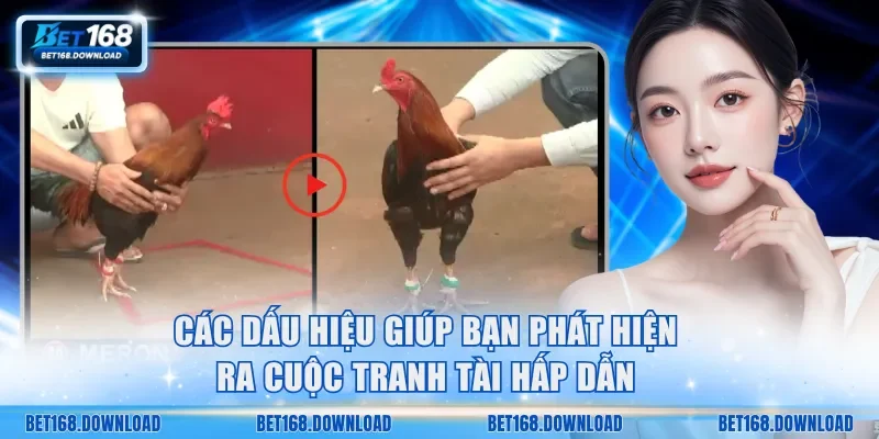 Các dấu hiệu giúp bạn phát hiện ra cuộc tranh tài hấp dẫn