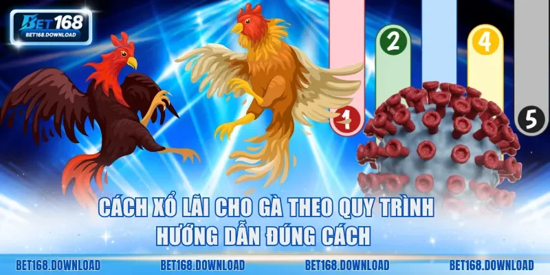 Cách xổ lãi cho gà theo quy trình hướng dẫn đúng cách 