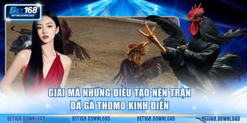 Giải mã những điều tạo nên trận đá gà Thomo kinh điển