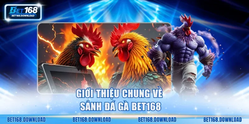 Giới thiệu chung về sảnh đá gà Bet168
