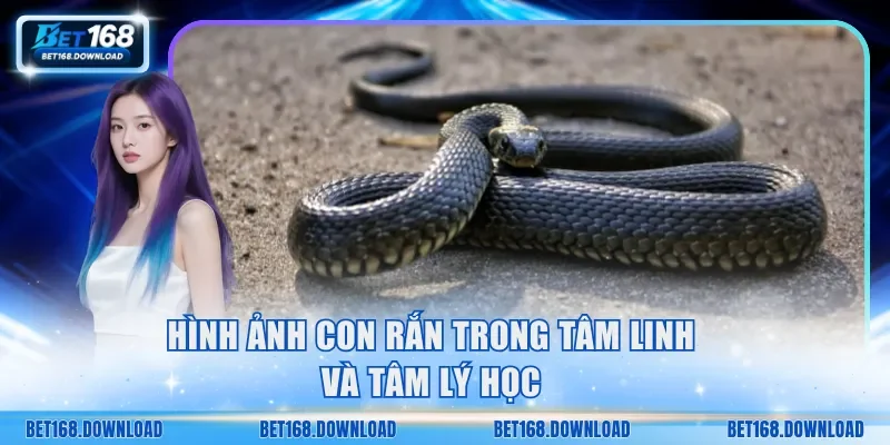 Hình ảnh con rắn trong tâm linh, tâm lý học