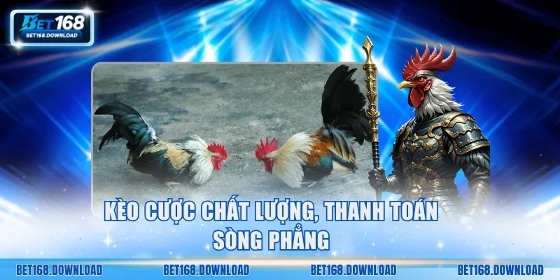 Kèo cược chất lượng, thanh toán sòng phẳng