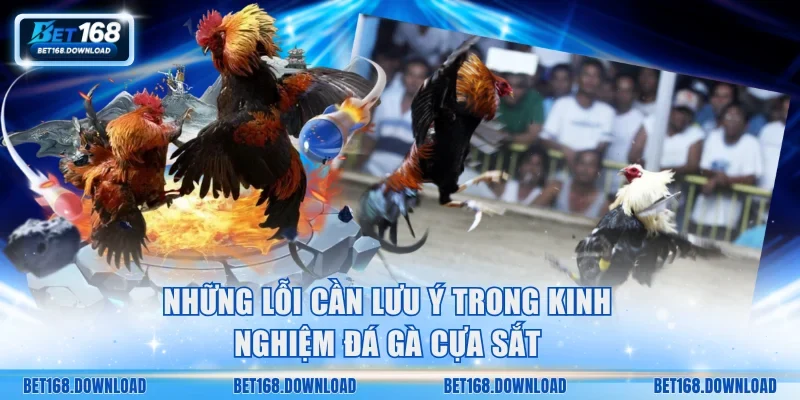 Những lỗi cần lưu ý trong kinh nghiệm đá gà cựa sắt