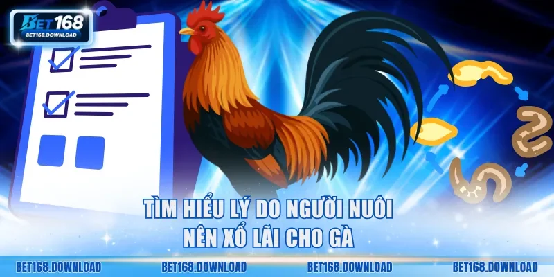 Tìm hiểu rõ lý do người nuôi nên xổ lãi cho gà