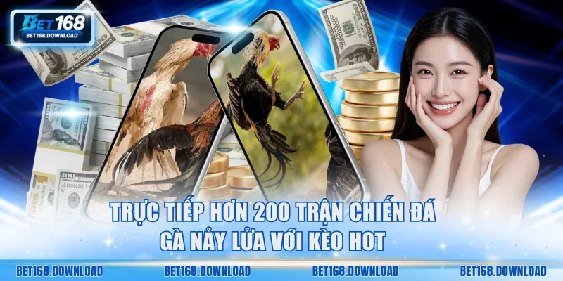 Trực tiếp hơn 200 trận chiến đá gà nảy lửa với kèo hot