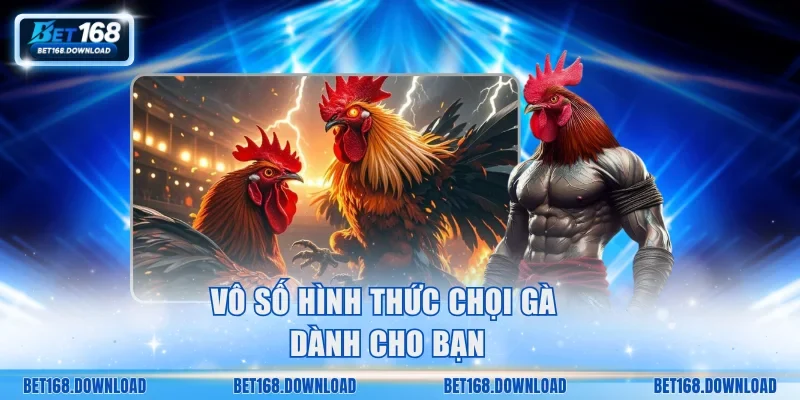 Vô số hình thức chọi gà dành cho bạn